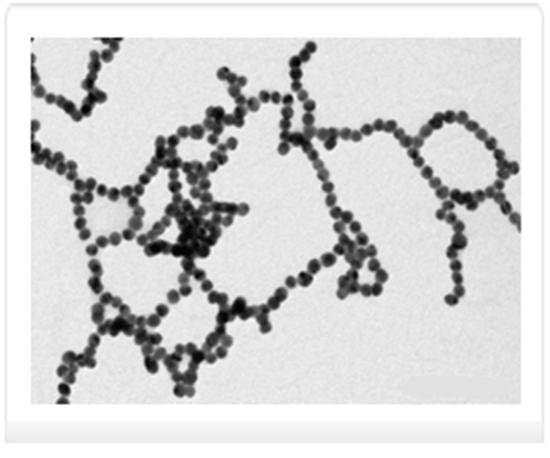 Ligand-mediated self-assembly